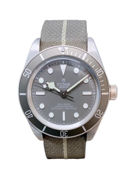 Tudor Black Bay 58 M79010SG-0002